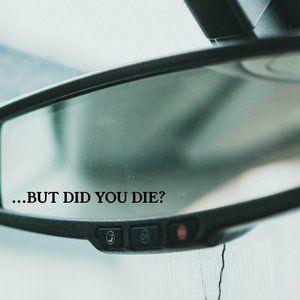 3/$15 But did you die?, rearview decal